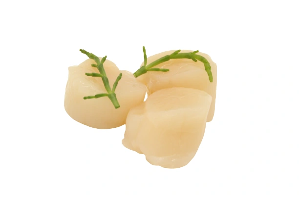 Coquilles